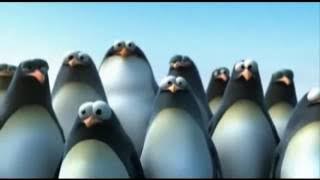 Lustige Videos zum totlachen