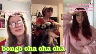 bongo cha cha cha~tik tok