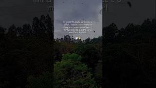 #natureza #liberdade #armonia #fe #estilodevida #motivacional #viralizou #paz #ativa #mundão #foco