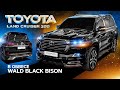 Toyota LC200 обвес WALD BLACK BISON прямоточный выхлоп и увеличение мощности