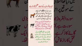 3 Animals Mentioned in History That Will Change Your Perspective