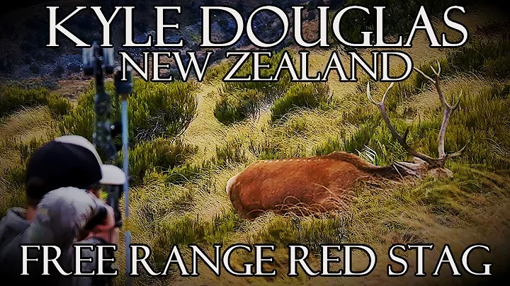 Bowhunting Free Range Red Stags | Kyle Douglas in New Zealand