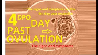 🔔👆 4 Day past ovulation (DPO) in case of 🤰🏻Pregnancy!