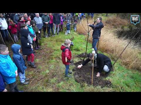 Video: Weymouth-bedrijf - Landschapsarchitectuur, Aanplant Van Grote Bomen, Aanleg Van Reservoirs