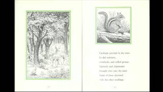 How the Forest Grew Read Aloud