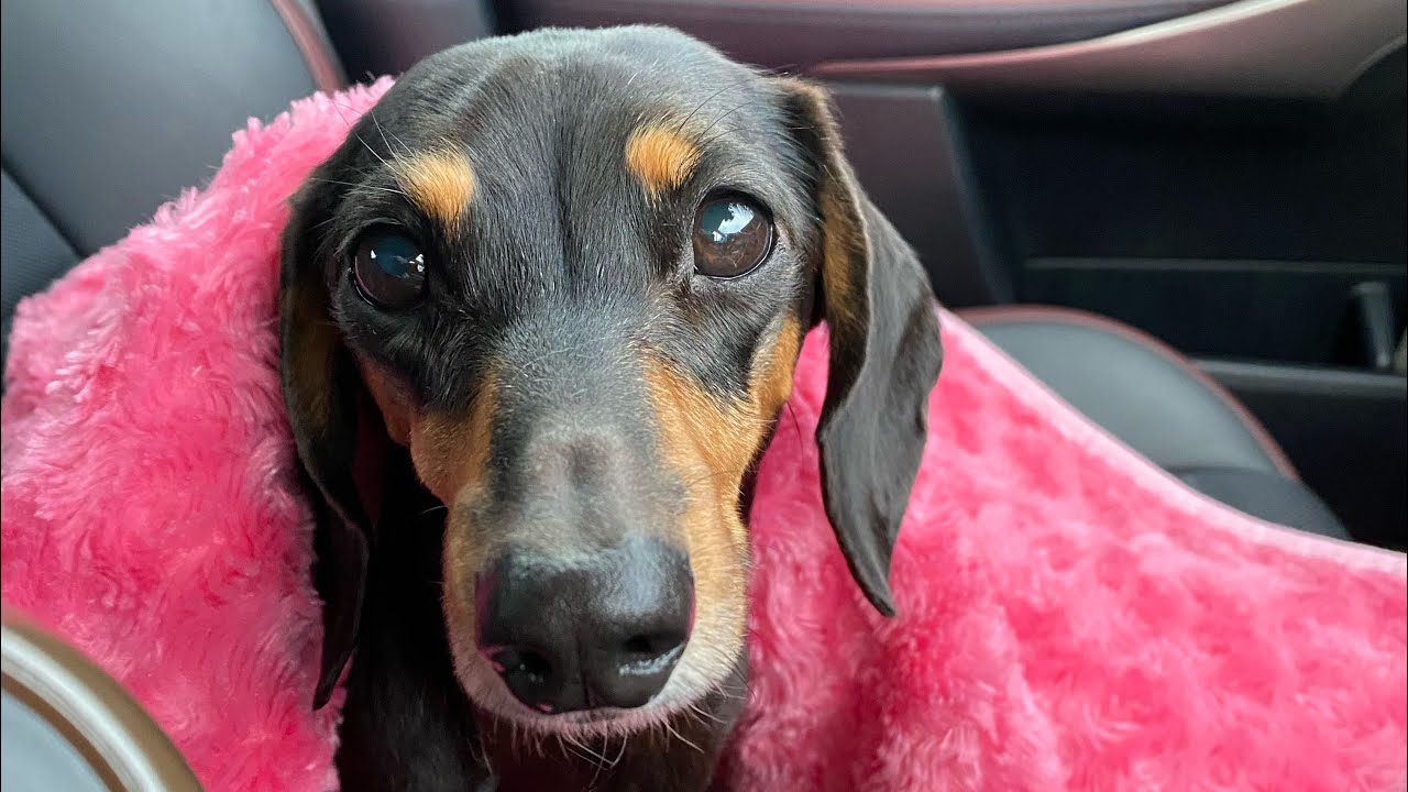 腰痛に対するその他の家庭療法