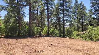 40 Clear Creek Loop, Durango, Co, 81301