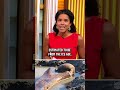 Woolly mammoth remains found as Danube River as water levels drop #shorts