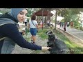 القردة الأليفة 🐒 والقردة اللصوص🐵في ماليزيا 🇲🇾