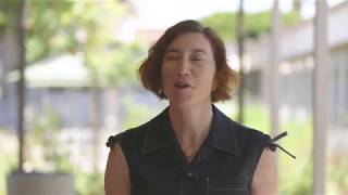 An Introduction To Liberal Studies At Csulb