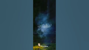 سورة القصص القارئ #ياسر_الدوسري ‎@islam_sobhi @Sonic_islami#فلسطين#السعودية#المغرب#مصر#الجزائر#تونس