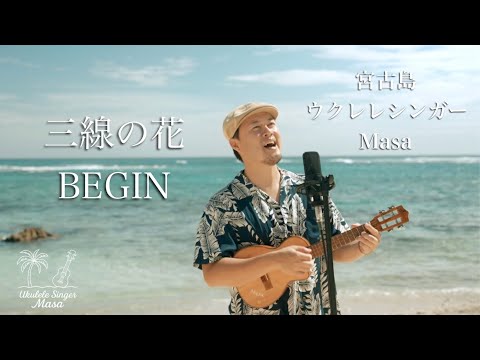 三線の花／BEGIN (宮古島ウクレレカバー)