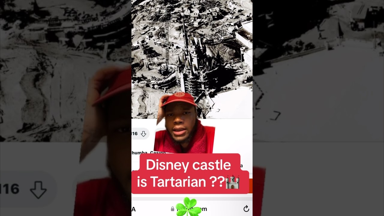 Disney Castle might be Tartarian !! 🏰 