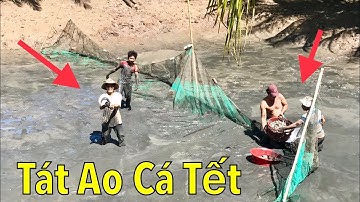 Cả Xóm Kéo Nhau Tát Ao Cá Lâu Năm Kiếm Cá Ăn Tết Bắt Gần 300kg Cá - Cá Bay Như Chim Nhìn Thấy Ham