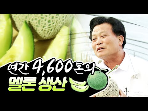 따뜻한 날씨에 풍부한 <strong>유기물</strong> 까지 연간 4,600여톤의 멜론을 생산하는 곡성.#멜론 #곡성멜론 #힘내라한국농업 [2008]