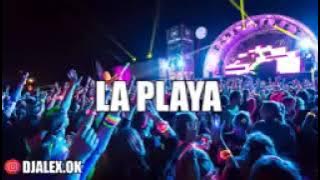 TE CONOCI EN LA PLAYA DE MIAMI BEACH