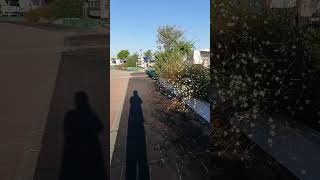 Antalya Serik Karavan Kamp Alanı...