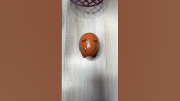 Masher Press vs TABA SQUISHIES #shorts