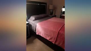 Información SONORO KATE Bed Sheet Set Super Soft Microfiber 1800 Thread Count Luxury Egyptian review Noticias
