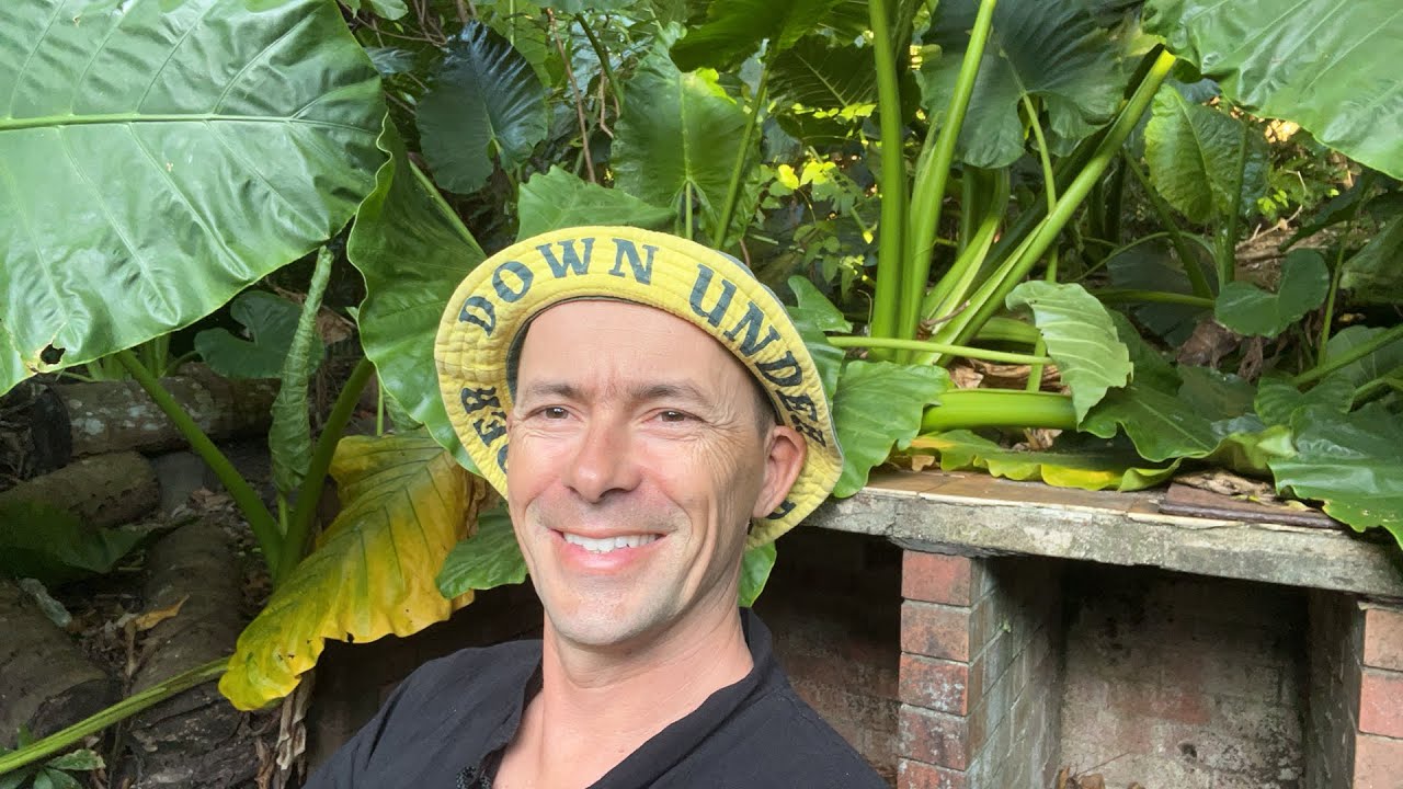 Zkažená neděle jsem za blbce