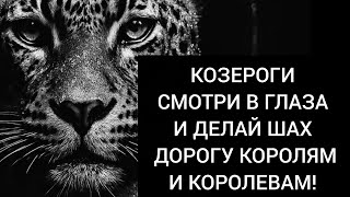 картинка: Козероги ⛓️ Твой ход - ход короля и королевы! ⚔️