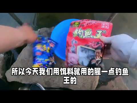 飞铅钓法的实力有多强？可覆盖整个水层，堪称垂钓翘嘴鱼克星