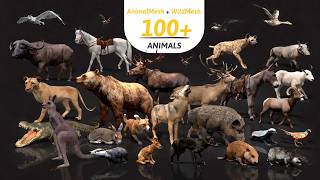 ULTIMATE ANIMAL MEGA BUNDLE