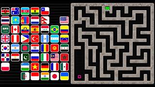 50 Flags Enter the Maze… Only 1 Survive! 🏁