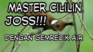 SPESIAL masteran CILILIN dengan GEMRECIK AIR,,,,,,,sangat cocok coba BUKTIKAN!!!!!!!! #1