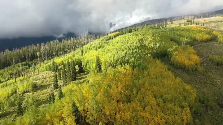 Heavens and Hills