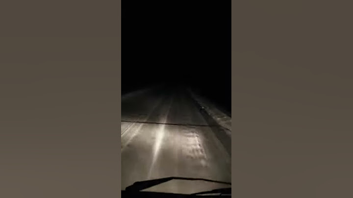 Волк ночью на дороге 80км до ближайшего населённого пункта