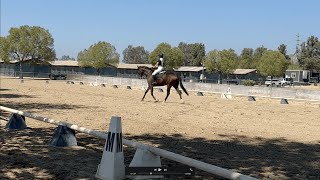 Blingo 2023 USEF First Level Test 2 at Hansen Dam