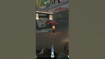 THERES NO WAY THIS ACTUALLY WORKED #gaming #funny #cs2