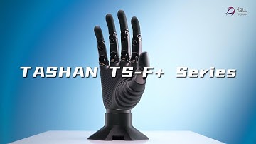 Introducing TS-F+ Tactile Sensor on BrainCo Revo 2 – Precision Touch for the Smallest Dexterous Hand
