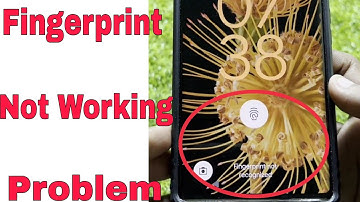 Fingerprint Not Working Problem & Not recognized Issue in Google Pixel Mobile