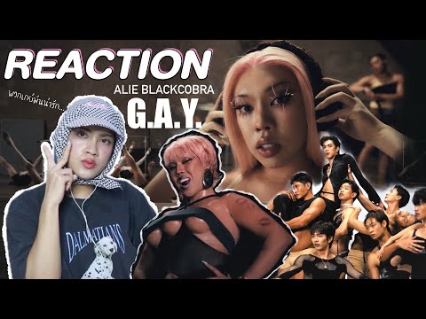 ติ่งไปเรื่อยพารีแอค Alie Blackcobra - G.A.Y  MV l Reaction