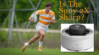 Is the Sony 2X Teleconverter Sharp?  On the 300mm f/2.8GM, It Screams!