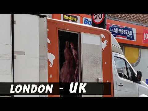 How Meat is