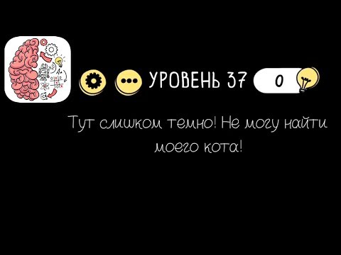 Как пройти Brain Test 37 уровень Тут слишком темно! Не могу найти моего кота!