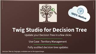 Twig Studio for Decision Tree : Territory Management