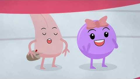 INDRA PENGECAP LIDAH DAN LAGU NAMA-NAMA RASA