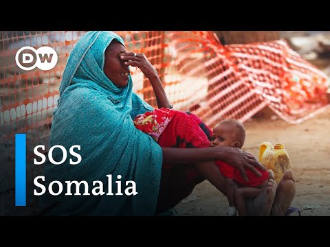 Video: Eindelijk door honger en hongersnood gewaagd?