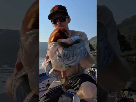 New YouTube video