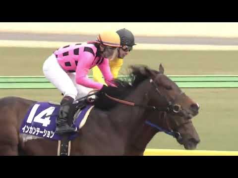 2015 フェブラリーステークス (GⅠ) 直線