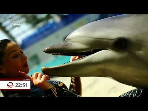 იმედის კვირა: \"გოგოს და დელფინების მეგობრობის ამბავი, რომელსაც მილიონობით ადამიანი ადევნებს თვალს.\"