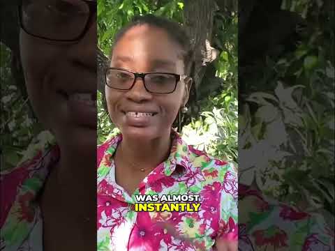 Guinea Hen Weed: Jamaica's Natural Healer? 🌿 #shorts