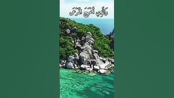 واتس اب قرآن كريم القارئ ياسر الدوسري ( سورة الأعلى)
