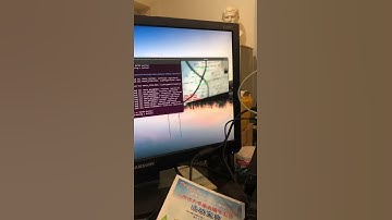 Visual Object Tracking Demo (class-agnostic)