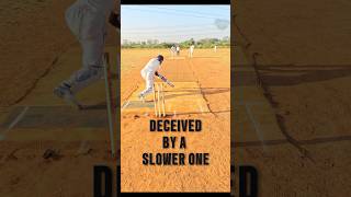 Deceived by a slower delivery 🏏 #cricket #india #comment #like #trending