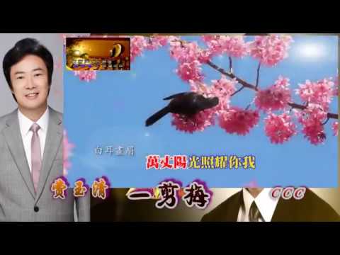 费玉清    一翦梅~HD~KTV
